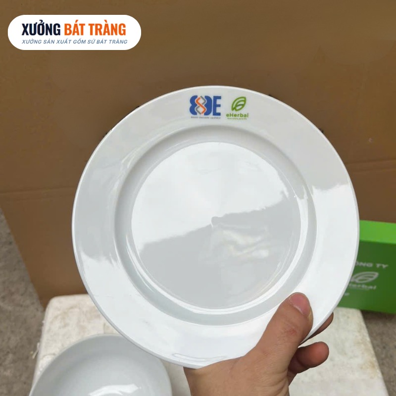 Bộ bát đĩa quà tặng in logo 8 món men sứ trắng XBT-BĐ02 - Ảnh 4