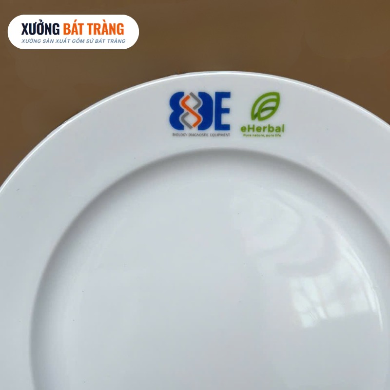 Bộ bát đĩa quà tặng in logo 8 món men sứ trắng XBT-BĐ02 - Ảnh 5