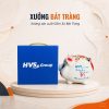 Heo đất in logo màu trắng vẽ đào đỏ kích thước 11x13x15cm XBT-HĐ05 - Ảnh đại diện